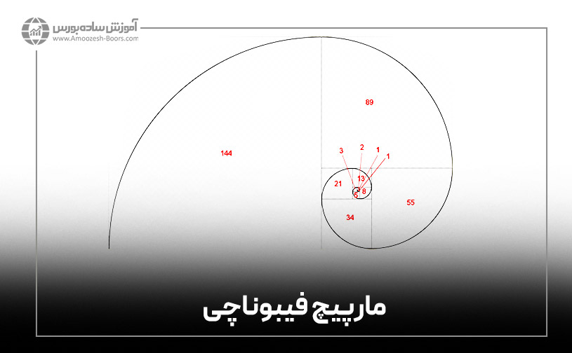 مارپیچ فیبوناچی (Fibonacci spiral)