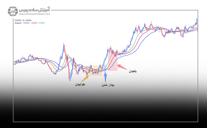 نمودار اندیکاتور الیگیتور